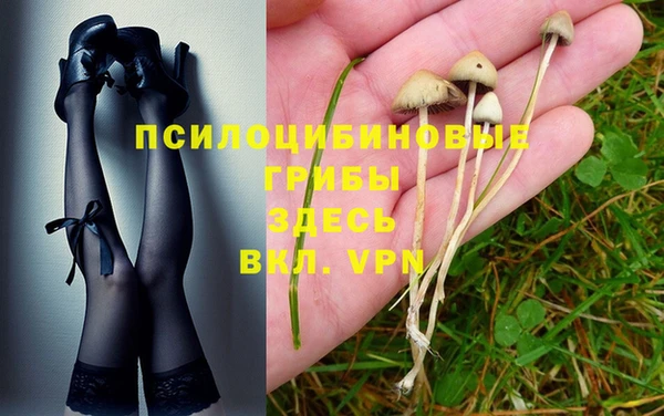 ECSTASY Балабаново