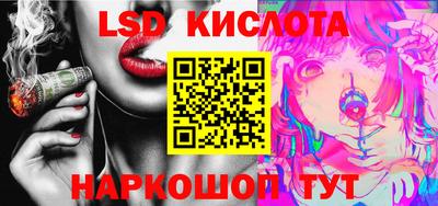 крисы Берёзовский