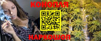 spice Моздок