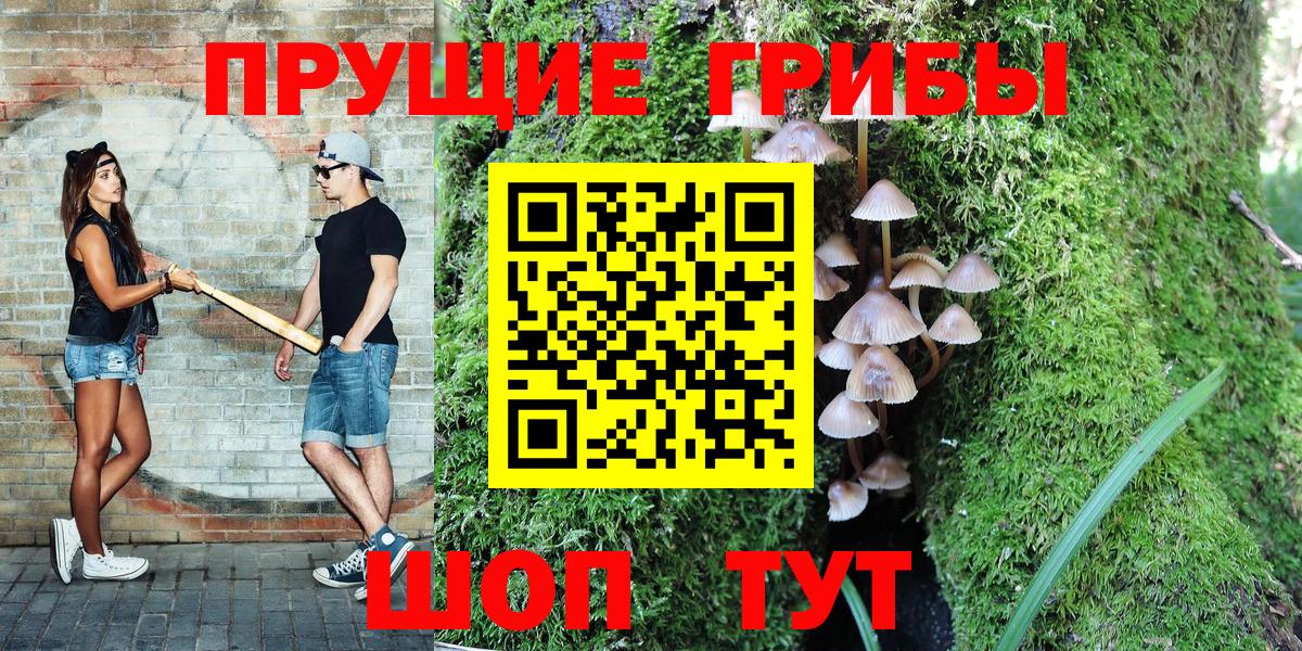 Псилоцибиновые грибы мухоморы Бугульма