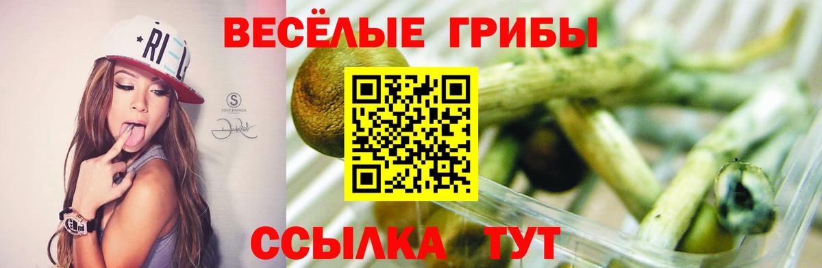 Галлюциногенные грибы прущие грибы  Псилоцибиновые грибы ЛСД  Вход с VPN  Бугульма 