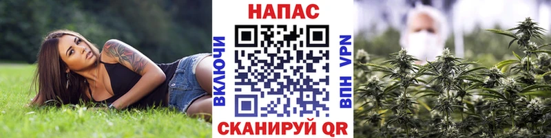 где найти наркотики Бугульма Марихуана марихуана
